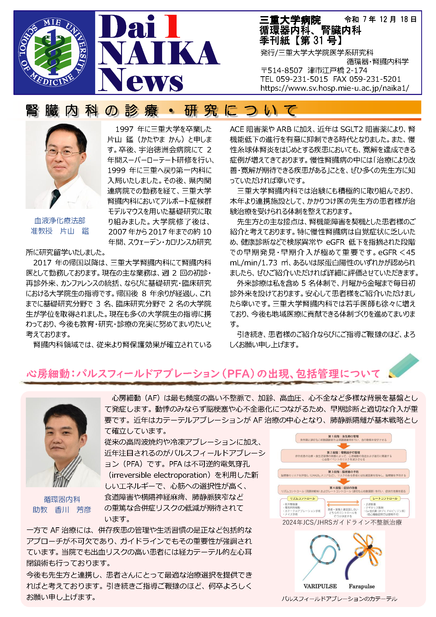 第31号